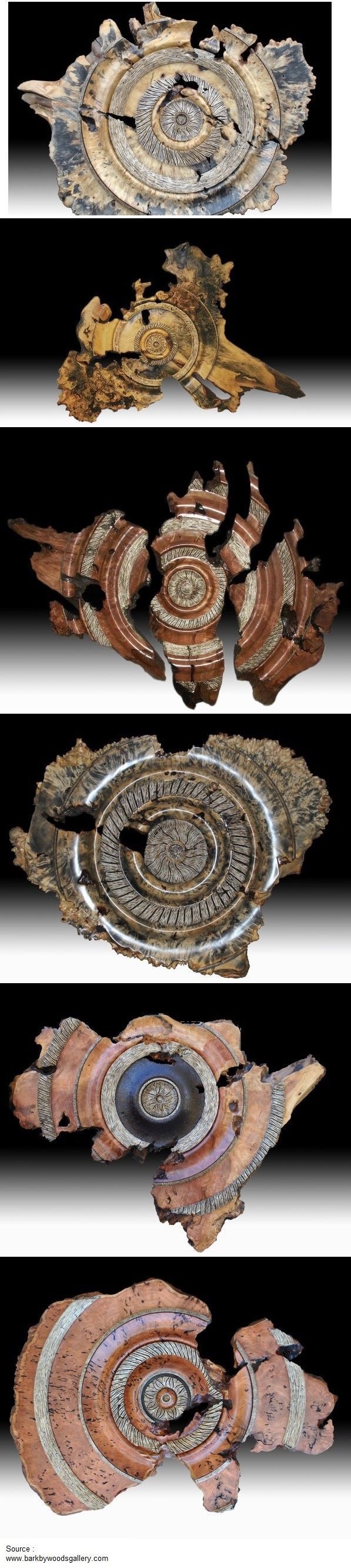 cool karma shell wood slices.jpg