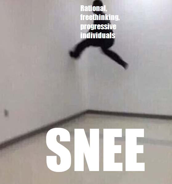 sneememe.png